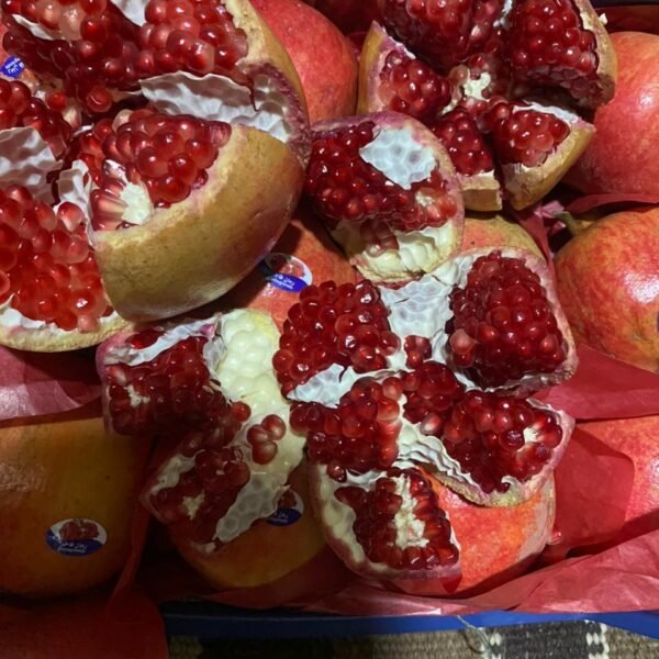 EGYPTIAN POMEGRANATE